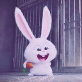 changshiji___ideamu