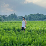 hanzinan