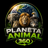 Planeta Animal TV
