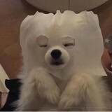 jinhenghenghengheng