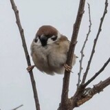 boxiangwanla
