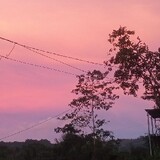 廿火 火日戈中卜