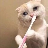 hanbaozhizuojuehuoge