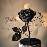 Jamir Hossain molla