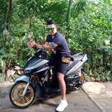 reisbryll