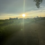 bili_1419006690