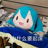 duoxuedianerdongxi