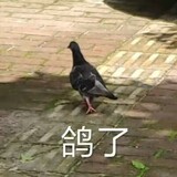yanmoukuaigezhu