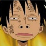 Luffy_pro