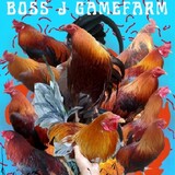 boss-ji