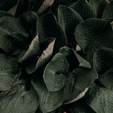 各种技术