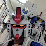 xiandaozhang00