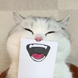 jingcaicai