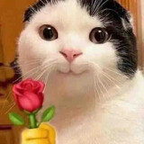 ahuahx