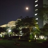 yinanpingyuewusheng