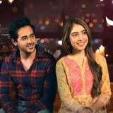 bade achhe lagte hai