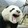 Xiongmaojituandongshizhang