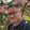 nabita_chen