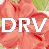 drv-studio