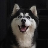 wuwu____ianganshenme