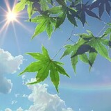 qingfenglanran