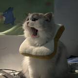 naonao2