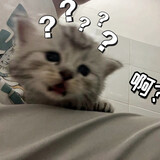 shi___dana