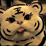 wode___jiaohunqiu