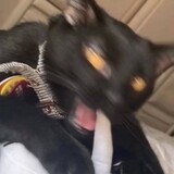 lilililidaiye