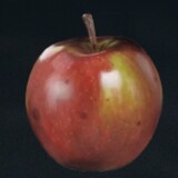 gdub825_04