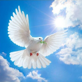 Jesus Es Luz Mx