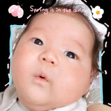 pitaihouhepiyangyang