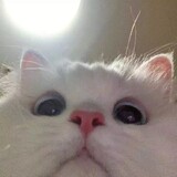 shenghuojilushunjian