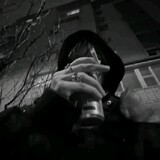 zanox_vzx