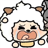 jujuemeishizhaoshis