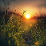 the soul Reset
