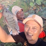 Daus Mancing Mania