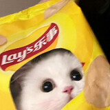 dantaㅇ