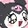 _shepherdia