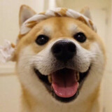 yuoushuoying