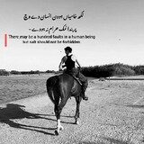 Saram Rajput