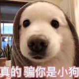 naiyoupaofuya