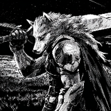 NOVA WOLF_YT