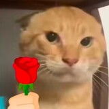 keai___die___