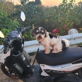 Jessa Elcamel_4405
