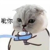 lanlanxianyumiao