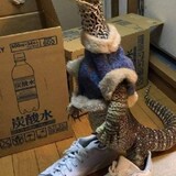 พี่แม่งเท่จัด