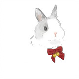 tuxingqiuchanshiguan