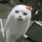 ksrs_shasha