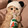 miaomidaduizhang
